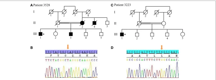 FigUre 5 | Novel non-sense mutation W258X in ATP13A2 found in two  patients. (a,B) Pedigree of Patients 3022 and 3868, respectively