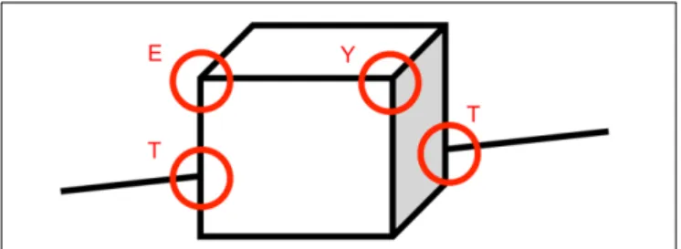 FIGURE 1 | Natural visual objects have certain invariant properties that are common to most viewpoints