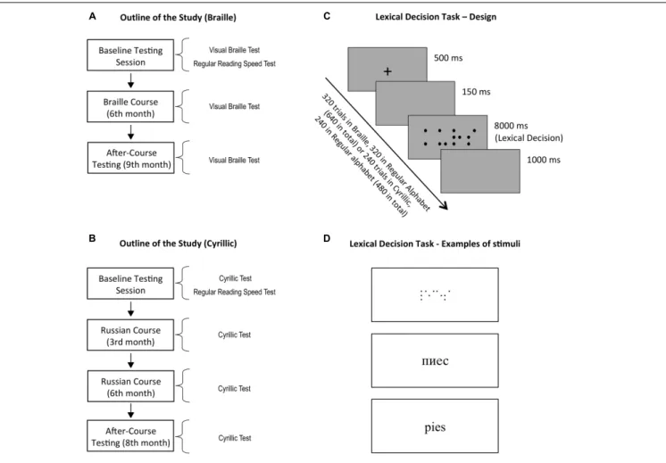 FIGURE 2 | Outline of the study and experimental procedures. (A) Braille course participants were tested three times: during the baseline testing session and after 6 and 9 months of the course