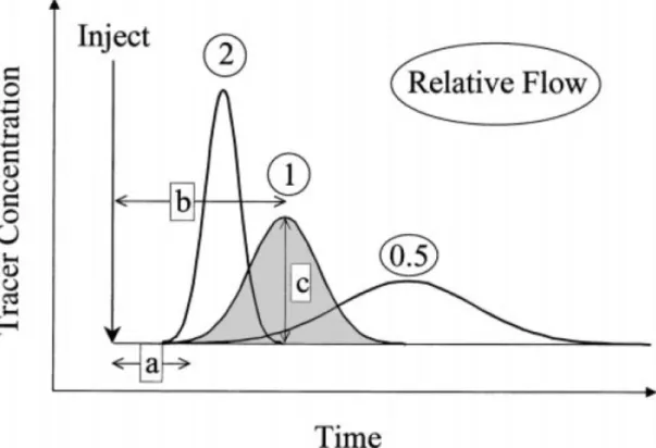 Figure  2.7:  Simulated  gamma-variate  functions  at  constant  blood  volume  for  three  different  kinds  of  relative  blood  flow