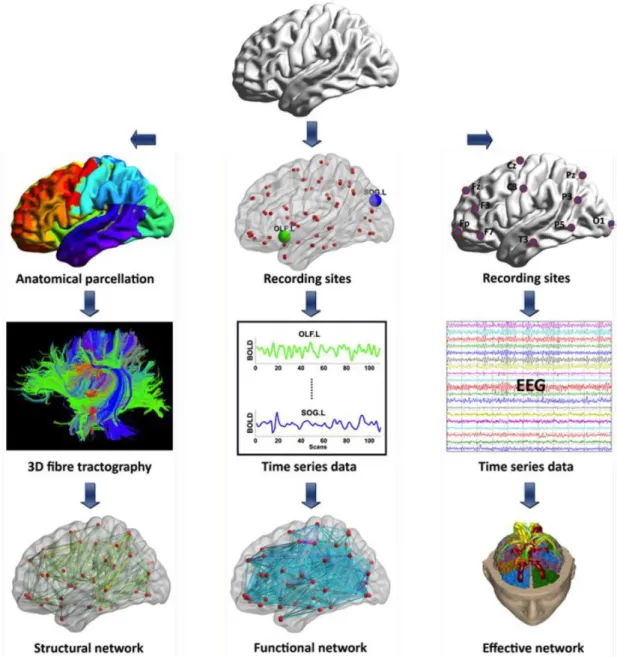 Figure  2.9:  Connectivity  analysis  methods  implemented  for  brain  networks  can  be  acquired  with  different  monitoring  modalities