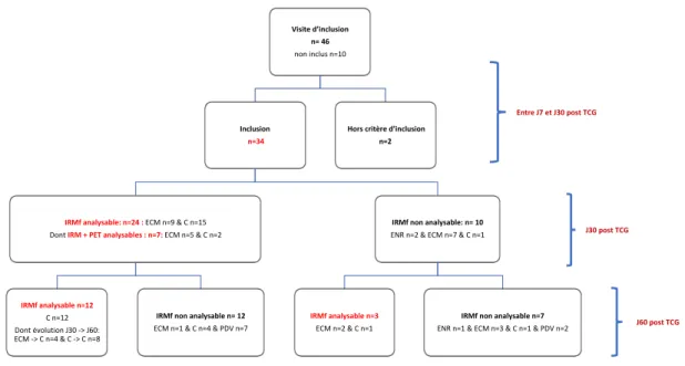 Figure 4.1 – Organigramme de l’étude considérant uniquement les acquisitions IRMf
