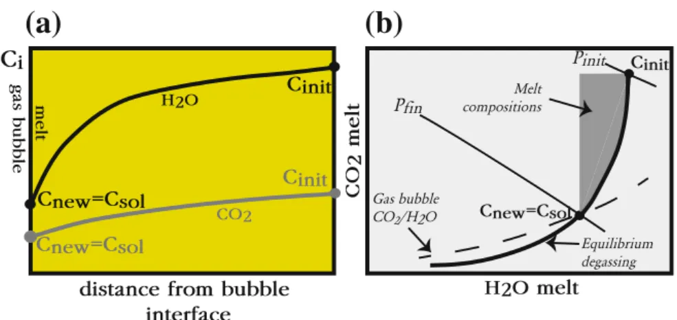 Fig. 5 Schematic illustration of local gas-melt equilib- equilib-rium. a detail of the gas-melt interface region in a concentration (C i ) versus distance diagram where C i refers to the volatile concentration in the melt
