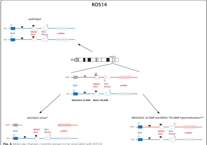Fig. 6 Molecular changes currently known to be associated with KOS14