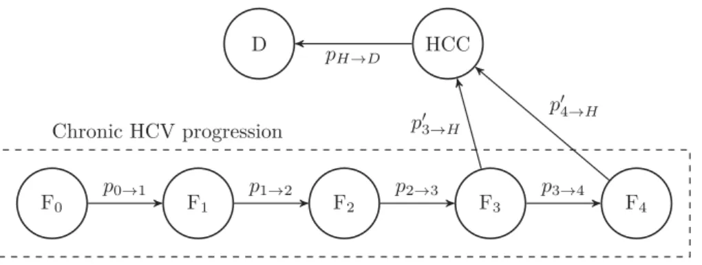 Figure 3.4: Simpliﬁed Markov model of the natural history of HCV.