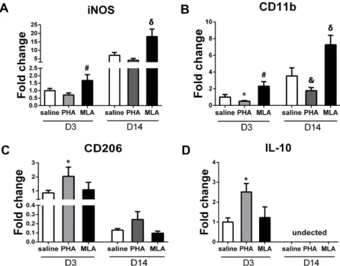 Figure 6. PHA decreased M1 marker expression and increased M2 marker expression. A: Quantification of iNOS