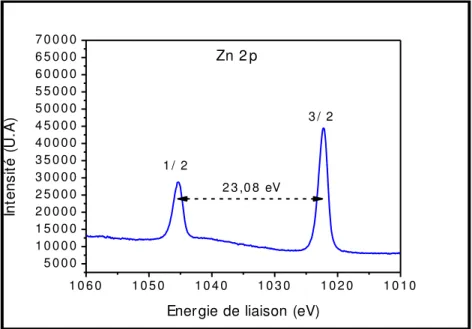 Figure III-18. Spectre XPS du pic Zn2p enregistré à haute résolution sur des nano-fils de ZnO synthétisés par voie liquide