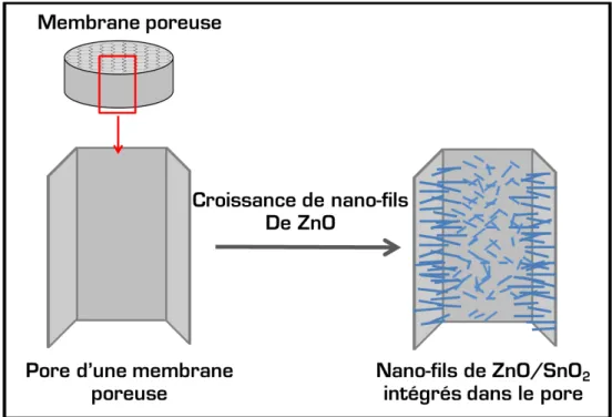 Figure III-1.  Représentation du concept d‟intégration des nano - fils d‟hétérostruc tures dans une membrane