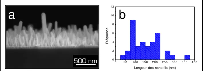 Figure III-15. Photographie MEB de nano-fils de ZnO pour une synthèse hydrothermale de 8 heures assistée par ultra-sons  (a); distribution statistique de la longueur des nano-fils de ZnO (b)