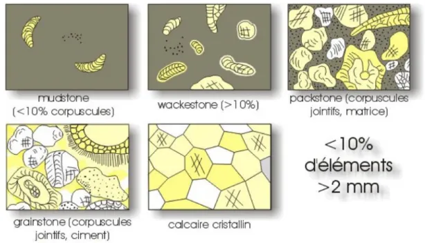 Fig. 2. 4 Illustration des textures des faciès carbonatés selon la classification de Dunham (1962) 