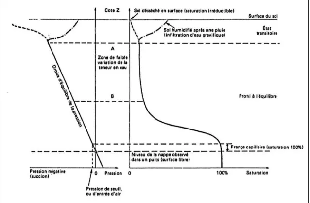 Fig. 2. 6 Profil de saturation en eau de la zone non saturée à la zone saturée (de Marsily, 2004) 