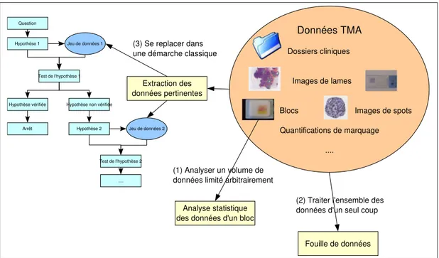 Fig. 1.10: Altération de la démarche expérimentale par la technologie des TMA - Confronté à un gros volume de données complexes, le biologiste peut essayer de réduire la taille de la collection à étudier en se limitant aux données issues d'un seul bloc TMA