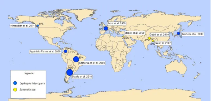 Figure 3 – Distribution spatiale de la prévalence des rats (R. norvegicus) infectés  par Leptospira interrogans basée sur la culture  