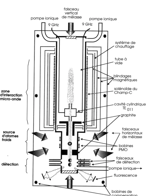 Fig. 3-1: Schéma de la fontaine atomique 