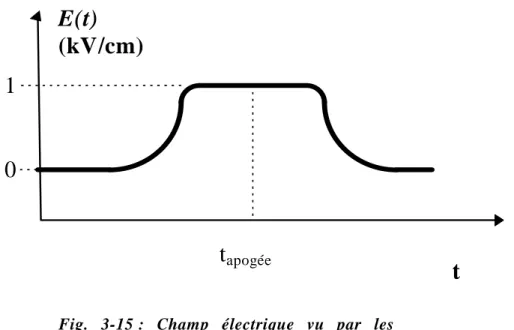Fig.  3-15 :  Champ  électrique  vu  par  les  atomes pendant leur vol balistique. 