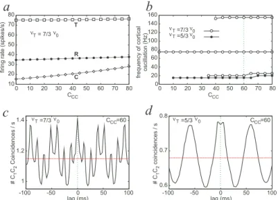 Fig. 6. Effect of the cortico-cortical connectivity. (a) The firing rate of T, R and C as a function of the cortico-cortical strength for ν T = 7/3ν 0 