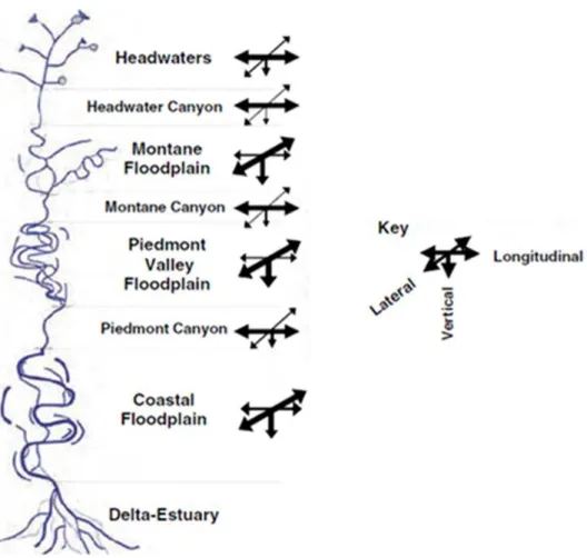 Figure 5 : Représentation schématique de la connectivité d’un bassin versant. Les groupes de flèches indiquent  la force attendue des interactions entre les échanges verticaux (lit du cours d’eau-eau de surface), latéraux  (lit-plaines alluviales) et longi