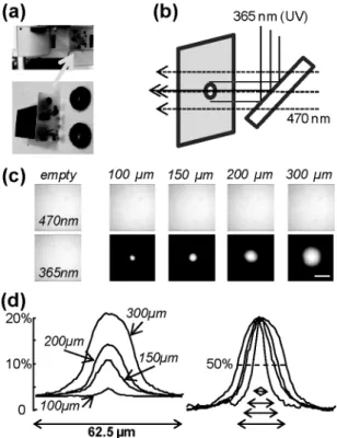 Figure  1:  LED  illumination  with  LP  pinholes.  (a)  Picture  of  a  device  designed  for  Olympus  BX  microscopes  to  insert  and  position  LP  pinholes  in  the  epifluorescence  pathway  (left);  gelatin  filters  where the pinholes were drilled
