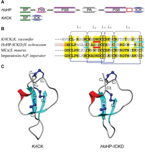 Figure 10 Bacterial ICK peptides