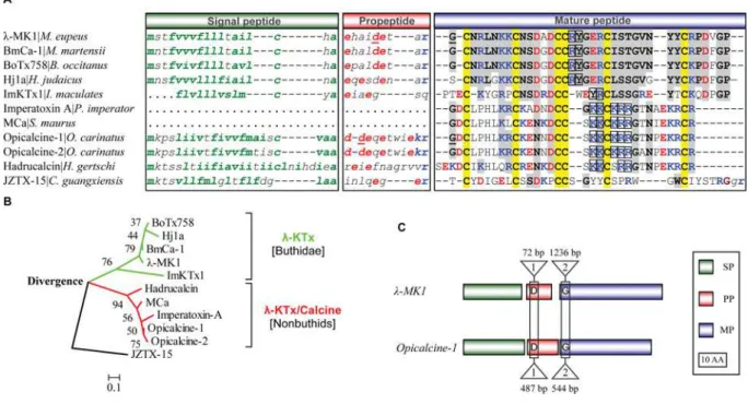 Figure 2 Scorpion venom ICK peptides