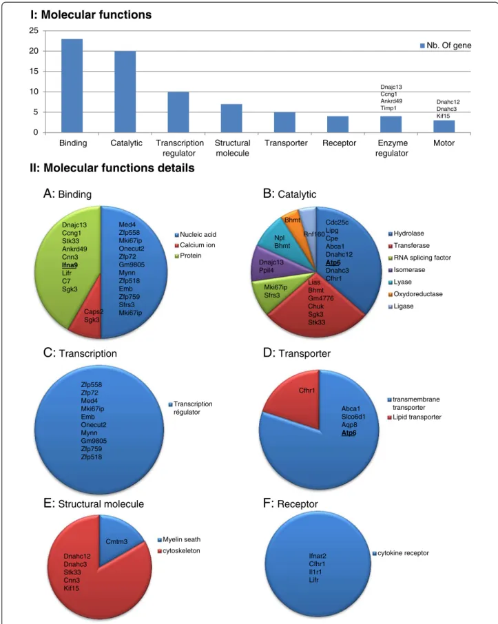 Figure 3 I, Histogram presenting all PANTHER molecular function of genes that are deregulated in Dpy19l2 − / − mice testes