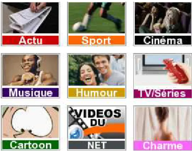 Figure 2 : Les différentes thématiques du service de VOD d'Orange 