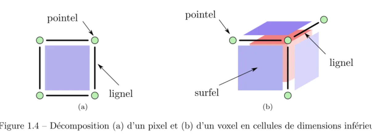 Figure 1.4 – D´ ecomposition (a) d’un pixel et (b) d’un voxel en cellules de dimensions inf´ erieures.