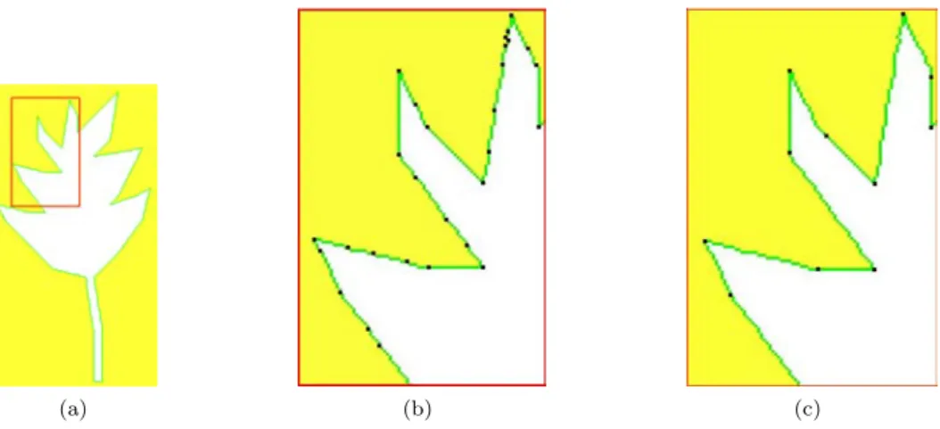 Figure 3.1 – (a) Un exemple de courbe discr` ete obtenue dans un contour de l’image d’une feuille