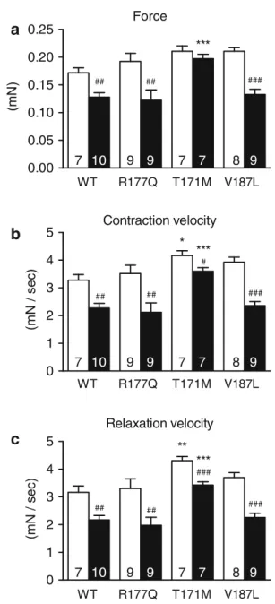 Fig. 4 Evaluation of chronic phenylephrine stimulation on contrac- contrac-tile parameters of rat-engineered heart tissue transduced with FHL2 wild-type or variants