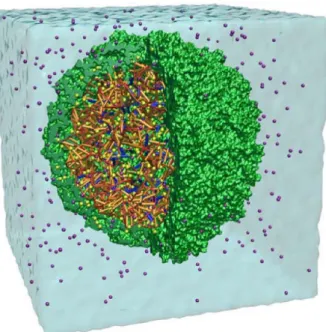 Fig. 2.2 – Repr´ esentation du virus satellite de la mosa¨ıque du tabac (Capside + ARN) simul´ e en solvant explicite