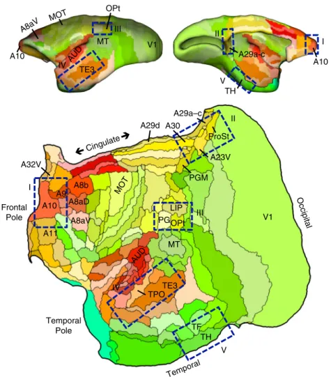 Figure 4f plots the locations of the temporal injections that yield the default-network-like projection pattern overlaid onto the projection patterns of the caudal-to-rostral frontal injections