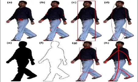 Figure 6. Les représentations de formes de l'objet (a) le point, (b) plusieurs points, (c) la forme géométrique primitive  (rectangulaire), (d) la forme géométrique primitive (elliptique), (e) silhouette, (f) contour, (g) forme articulée, (h) squelette 