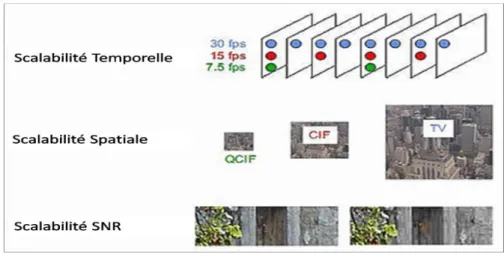 Figure 7. Les échelles de base de la scalabilité dans le codage vidéo 