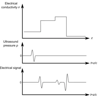 Figure 2 – Pressure field simulation along ultrasound axis (Y = 0 mm) of the transducer