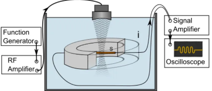 Fig. 4. Experiment with the Lorentz-force hydrophone. A func- func-tion generator with an RF amplifier drives a focused transducer with the Lorentz force placed at the focal point