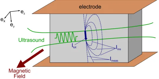 Figure 1. An ultrasound wave is transmitted in a conductive medium placed in a magnetic field