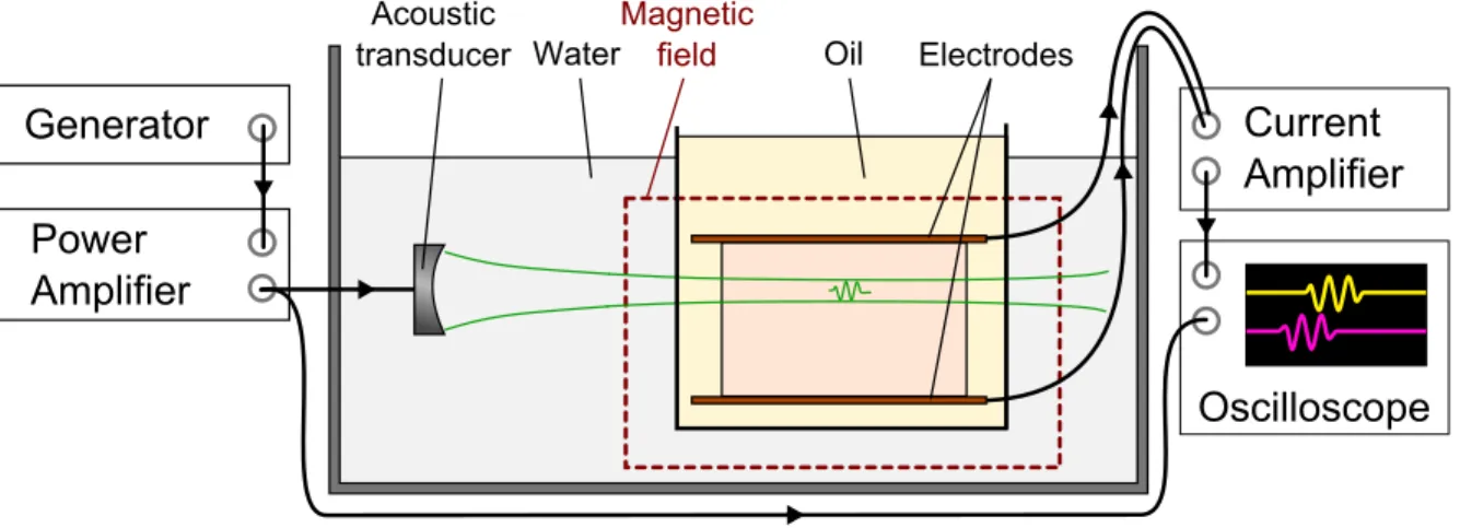 Figure 2. A transducer is transmitting ultrasound pulses toward a sample placed in an oil tank placed in a magnetic field
