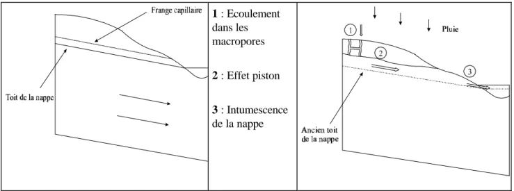 Figure 2 : Interférence de plusieurs phénomènes participant à la composante rapide de d'écoulement