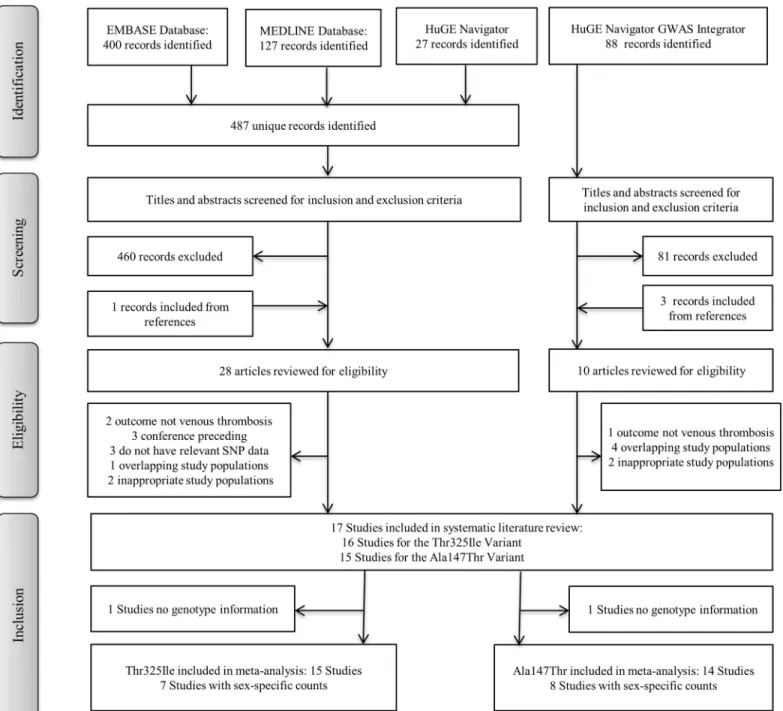 Fig 1. Flow-chart of the selection process for inclusion into the systematic review. Outline of the selection process used to identify studies from a comprehensive literature search that investigated the CPB2 variants and venous thrombosis.