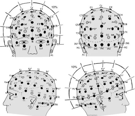 Figure II.4 Le système 10-20 décrivant les positions standards des électrodes EEG, d’après Zani et Proverbio (2002).