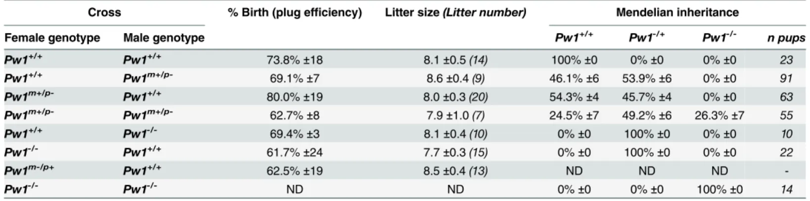 Table 1. Reproduction parameters of Pw1 mutant mice are comparable to Pw1 +/+ mice.