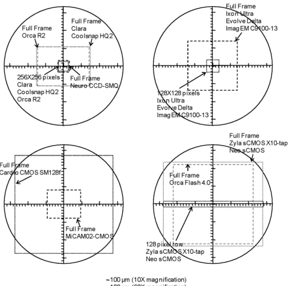 Fig. 3. Field of view between the cameras listed in Table 2. This includes the regional field of view for  CCD, EMCCD, CMOS and sCMOS cameras