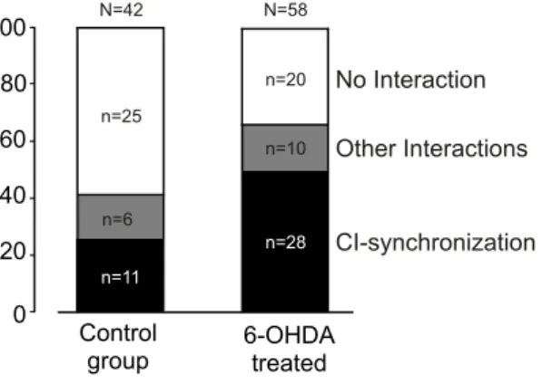 Figure 4: Autocorrelograms and crosscorrelogram of a cell pair recorded in a treated rat (panels a,b,c) and of a cell recorded in a control rat (panels d,e,f).
