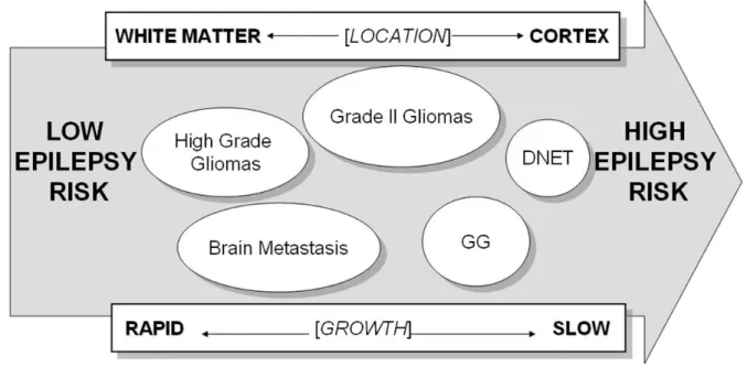 Figure 2: Risk of epilepsy relative to growth, location and type of brain tumor Figure 2: Evaluation du risque épileptique en fonction de la vitesse de 
