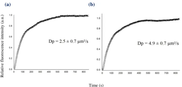 FIG S1 Time course of BODIPY-FL®-daptomycin penetration measured at the bottom of  (a) S