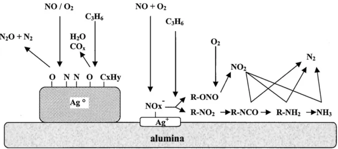 Figure I.4 Mécanisme réactionnel de la réduction sélective catalytique de NO par C 3 H 6 