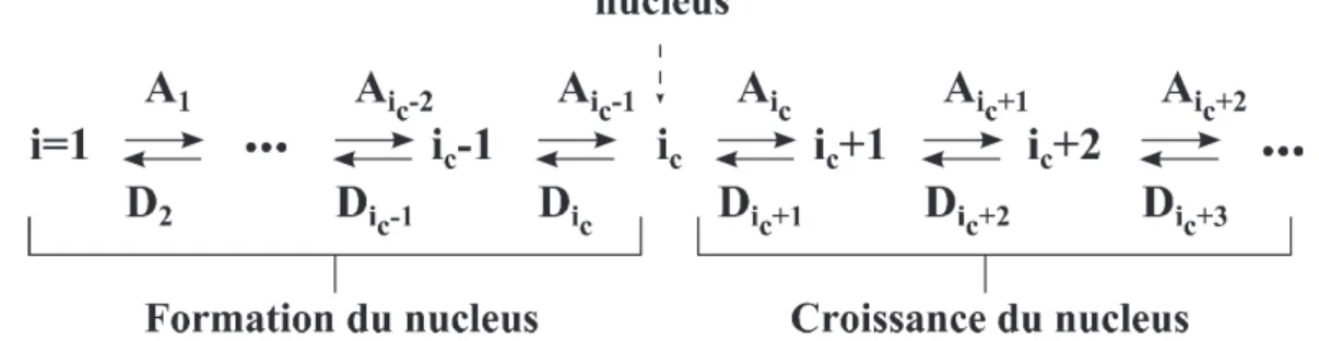 Figure 1.5 : Schématisation du mécanisme de nucléation selon la TCN d’après (Davey et al., 2013) 