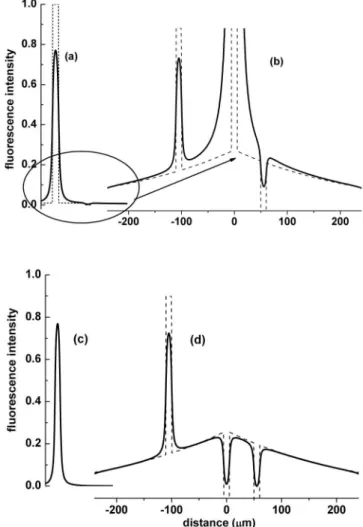 Fig. 1 Schematic numerical simulation of the differential imaging method 共 a 兲 represents a section of a capillary in the presence of  dif-fusible dye 共 dashed line 兲 and its convolution with the laser point spread function 共PSF, solid line兲