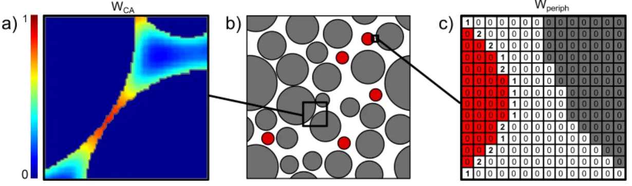 Figure 2. Illustration of the weighting lattices S and W CA . (a) Zoom in the diffusion weighting lattice W CA 