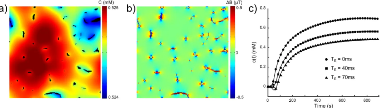 Figure 11. Example of the simulation with a vascular geometry extracted from in vivo microvascular microscopy